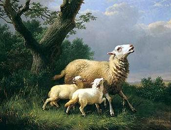 unknow artist Sheep 074 Norge oil painting art